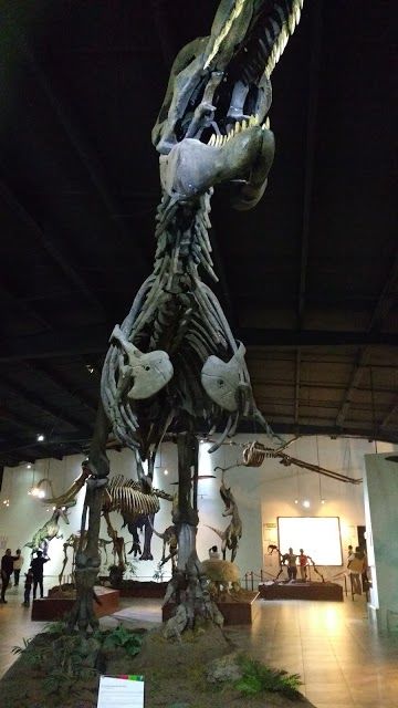 Museo de Historia Natural de Ecatepec